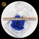 Preserved Immortal Eternal Dried Blue Flowers Rose for Birthday Party Wedding Decorative